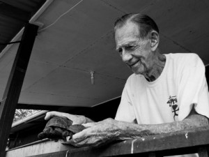 брендон и черепахи