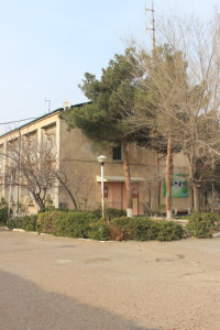 tiroz-2