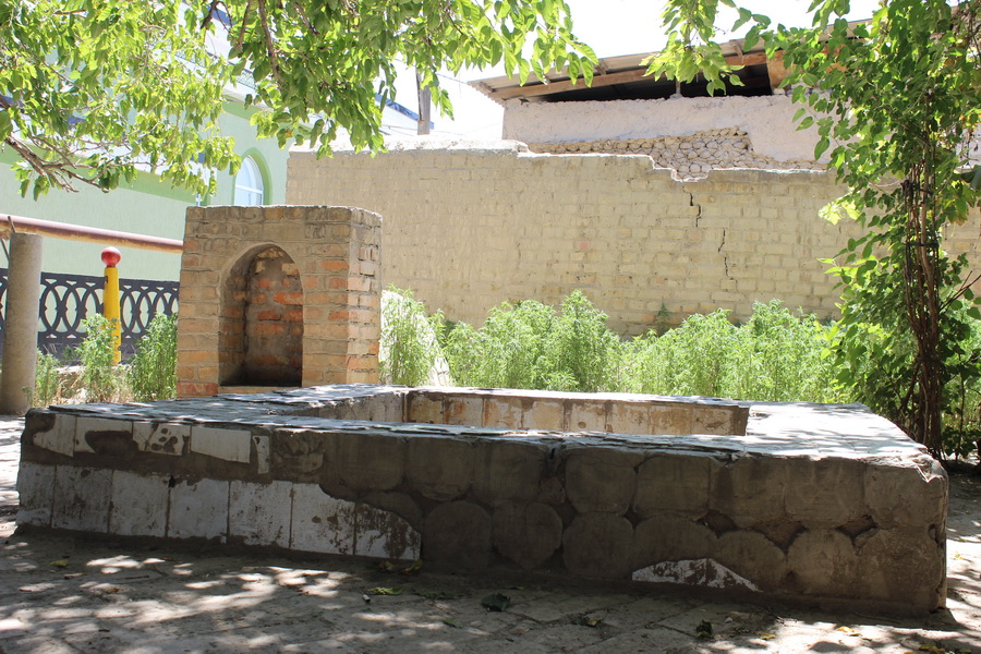 Derevo-Temurmalik-01_новый размер