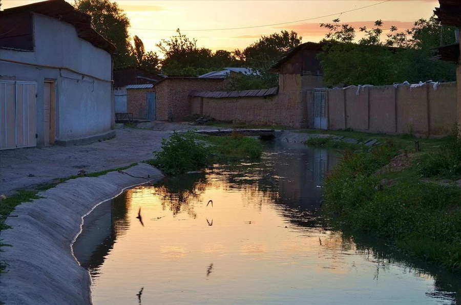 Derevo-Temurmalik-02_новый размер