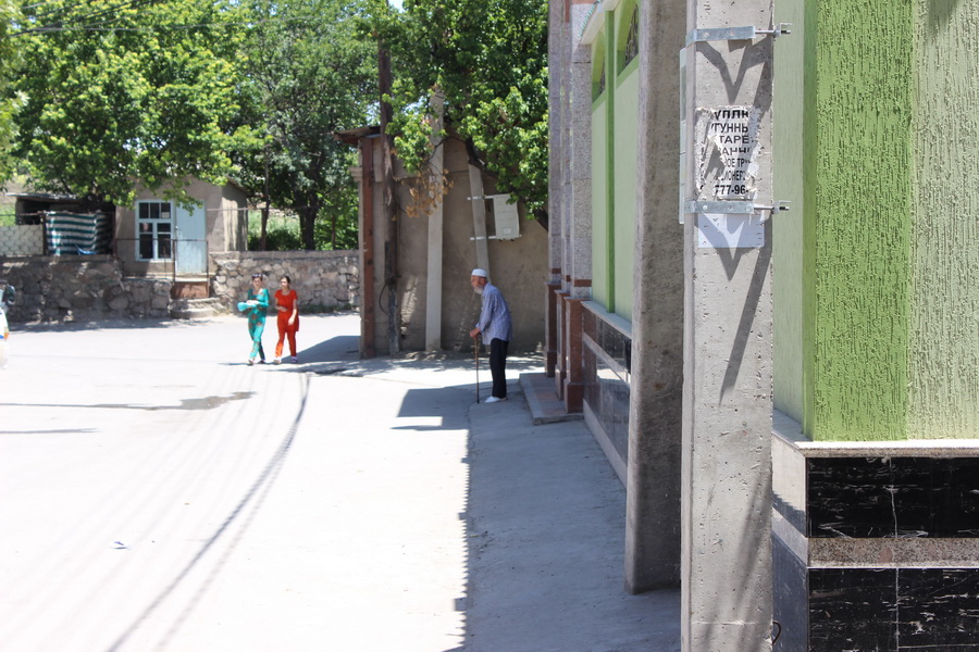 Derevo-Temurmalik-03_новый размер