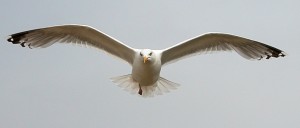 2585