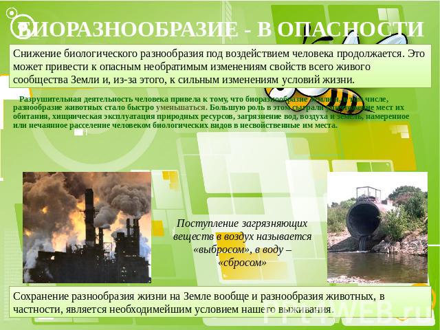 биоразнообразие