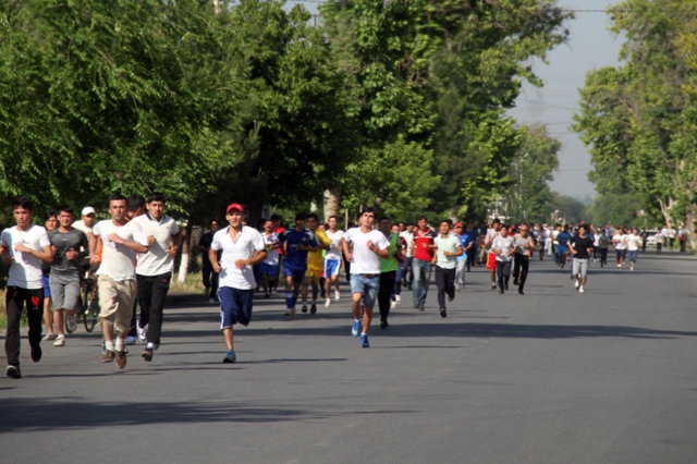 чавонони Сугд-2