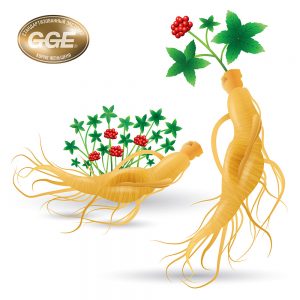 04f5dc60d657987dd9275eb45a7682f2