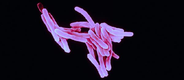 Bemorii-sil-4