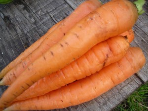 carrots