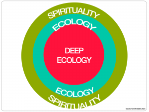 deep-ecology-diagram-1600-1200