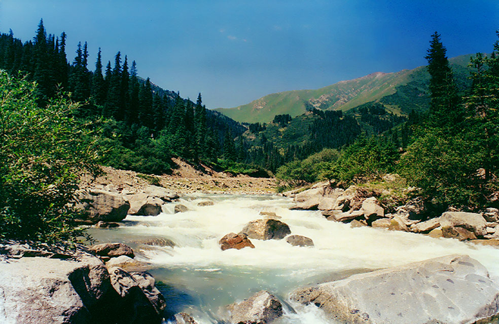 сырдарья кыргызстан