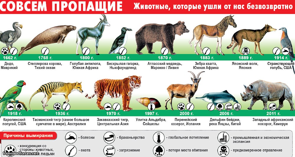 ушедшие животные